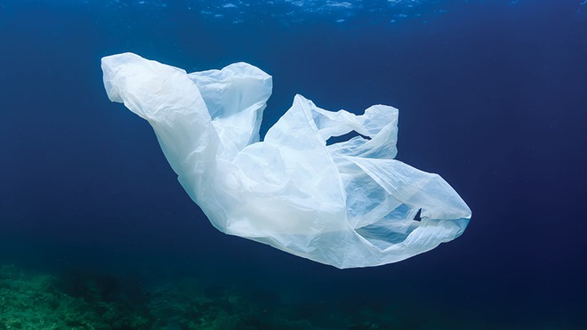 plastic bag floating in ocean biodegradable lead